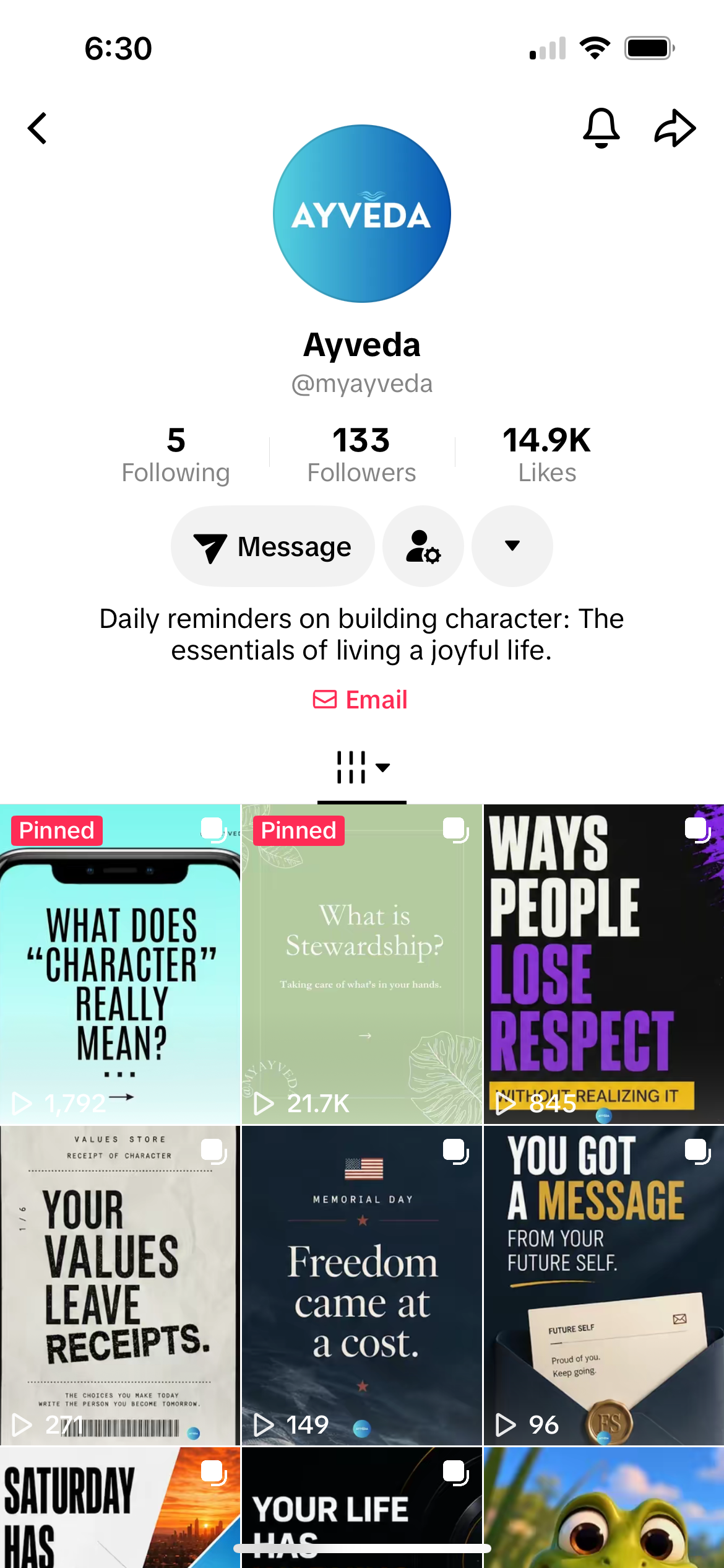 Ayveda TikTok profile screenshot